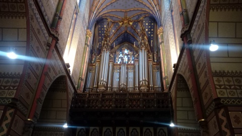 Organy w Bazylice Katedralnej. Fot. Jan Duks.