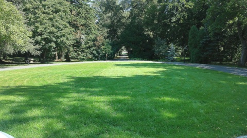 Park przy Pałacu w Sypniewie. Fot. Jan Duks.
