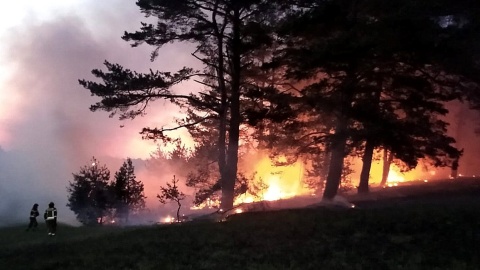 Ogień to śmiertelne zagrożenie dla lasu i ludzi. Fot. facebook.com/kwpspolsztyn