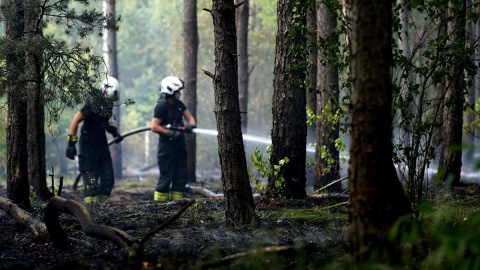 Ogień to śmiertelne zagrożenie dla lasu i ludzi. Fot. facebook.com/rdlpTorun