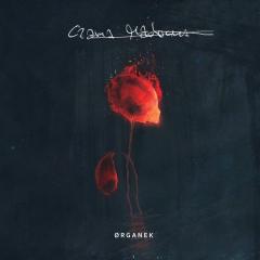 Wiosna - Organek