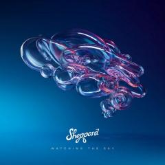 Riding The Wave - Sheppard