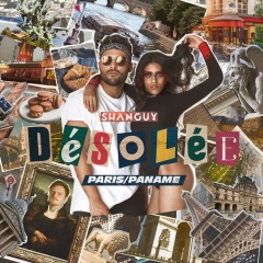 Desolee (Paris/Paname) - Shanguy
