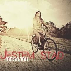 Szukając szczęścia - Mesajah feat. Kamil Bednarek