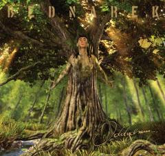 Euforia - Bednarek feat. Staff