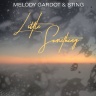 Melody Gardot & Sting - Little Something