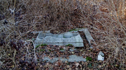 Zapomniane cmentarze to wędrówka po tych miejscach, gdzie o ich przeszłości świadczy fragment tablicy nagrobnej lub połamany krzyż. Fot. Henryk Żyłkowski