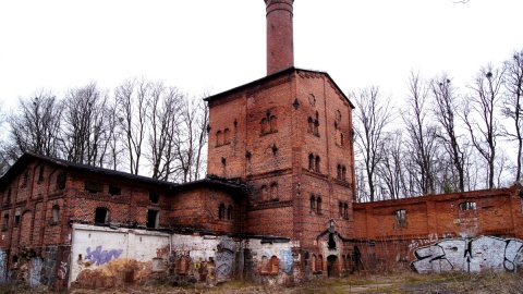 Zabudowania browarne wraz z imponującym kompleksem piwnic z połowy XIX wieku niszczeją. Fot. Henryk Żyłkowski