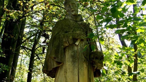Groby i ludzkie szczątki profanowane są na rzymsko-katolickim cmentarzu w Płonnem. Fot. Henryk Żyłkowski