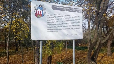 Czy stary cmentarz ewangelicki przy ul. Poznańskiej w Toruniu w końcu zostanie uporządkowany? Fot. Michał Zaręba