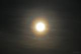 Lunar pollen corona © Piotr Majewski