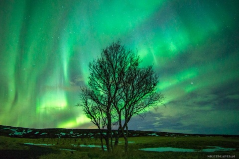 Islandia... kraina zorzy