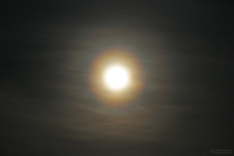 Słońce i Księżyc w pyłkowej koronie