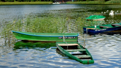 Co w gminie piszczy - Jezioro Sępoleńskie. Fot. Michał Słobodzian