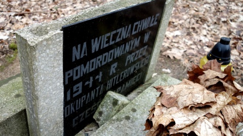 W miejscowości Lisak niedaleko Golubia-Dobrzynia, w lesie stoi stary, zniszczony pomnik. Fot. Adriana Andrzejewska