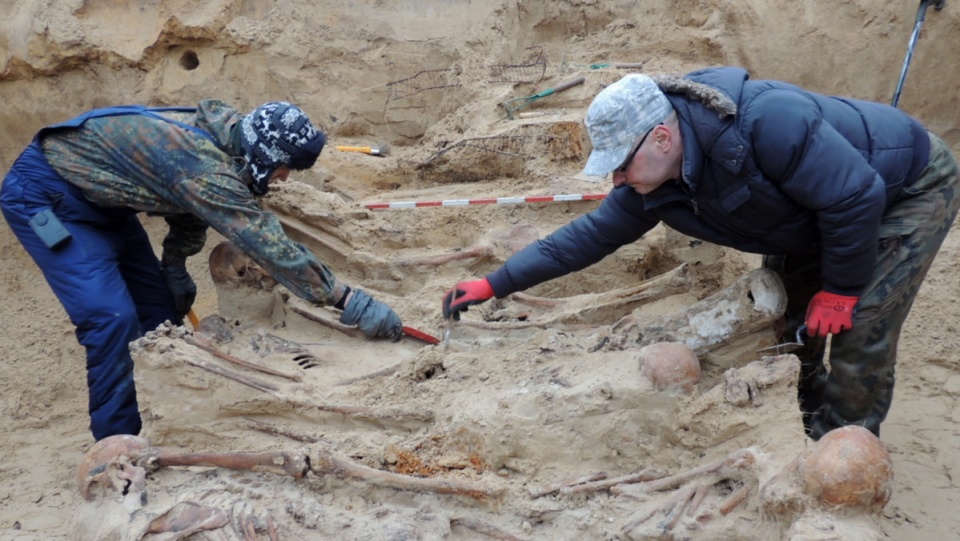 Dotychczas na toruńskich Glinkach ujawniono ok. 1,5 tysiąca ludzkich szczątków żołnierzy niemieckich. Fot. Michał Zaręba
