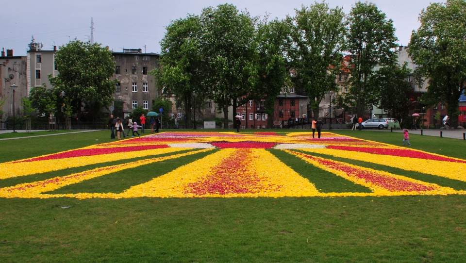 Kolorowy dywan z tulipanów już po raz czwarty ozdobił Wyspę Młyńską w Bydgoszczy.