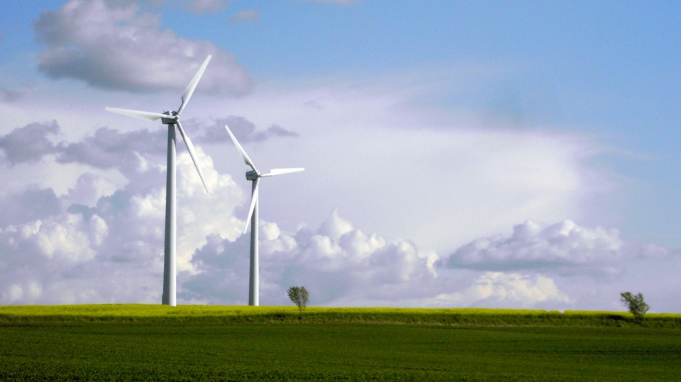O energii pozyskiwanej z wiatru rozmawiano na konferencji w Świeciu nad Wisłą. Foto: www.sxc.hu