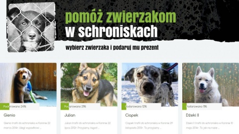 dlaschroniska.pl - pomoc dla konkretnego psa lub kota