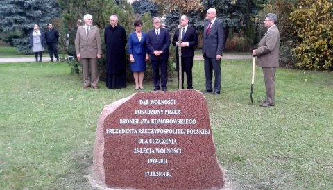 Dąb Wolności pod pomnikiem bł. ks. Jerzego Popiełuszki w Toruniu