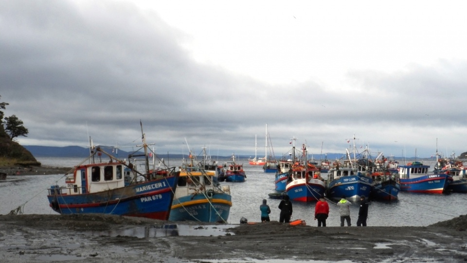 Meta w Punta Arenas. Fot. J.J. Cieliszak-SelmaExpedition.com