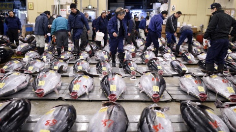 Ponad 30 tys. euro za tuńczyka