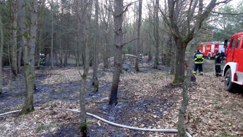 Pożar ściółki w lesie w Nowych Krąplewicach