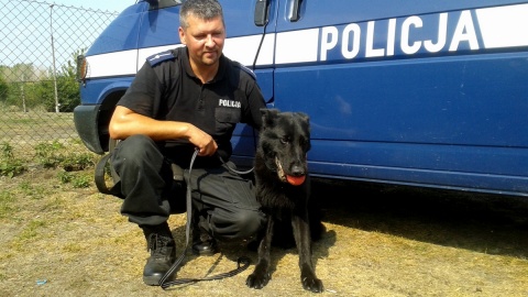 Najlepszy pies policyjny służy w toruńskiej komendzie miejskiej