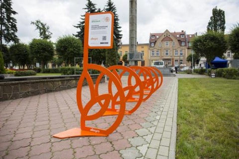 Grudziądz i Bydgoszcz nagrodzone przez Fundację Allegro For Planet