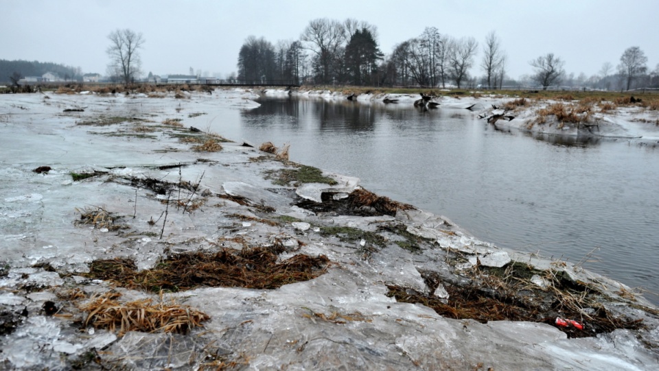 W rzece Liwiec w pobliżu wsi Kapuściaki płetwonurkowie natrafili na ciało jednego z chłopców, którzy zaginęli 29 grudnia. Fot. PAP/Przemysław Piątkowski