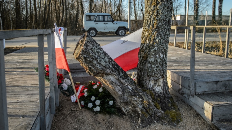 Na miejscu katastrofy samolotu prezydenckiego Tu-154M w Smoleńsku pozostała tylko jedna z dwóch symbolicznych brzóz, przy których odbywały się uroczystości. Drugie z drzew, w sierpniu 2014 r. złamał wiatr i zostało wycięte. Fot. PAP/Wojciech Pacewicz