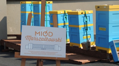 Na dachu Urzędu Marszałkowskiego w Toruniu odbyło się dziś pierwsze miodobranie z 5 umieszczonych tam uli. Fot. Michał Zaręba