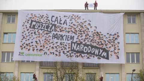 Akcja Greenpeace - cała Puszcza Białowieska parkiem narodowym