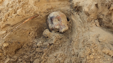 Szczątki ludzkie na placu budowy w Toruniu