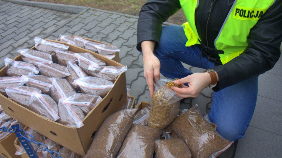 W trakcie przeszukania kryminalni znaleźli kilkadziesiąt woreczków z tytoniem. Fot. KWP Bydgoszcz