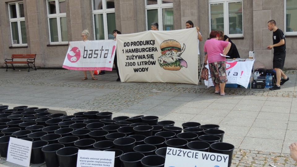 Dlaczego warto przejść na weganizm przekonywali w Toruniu wolontariusze Inicjatywy na Rzecz Zwierząt BASTA. Fot. Błażej Nagiecki