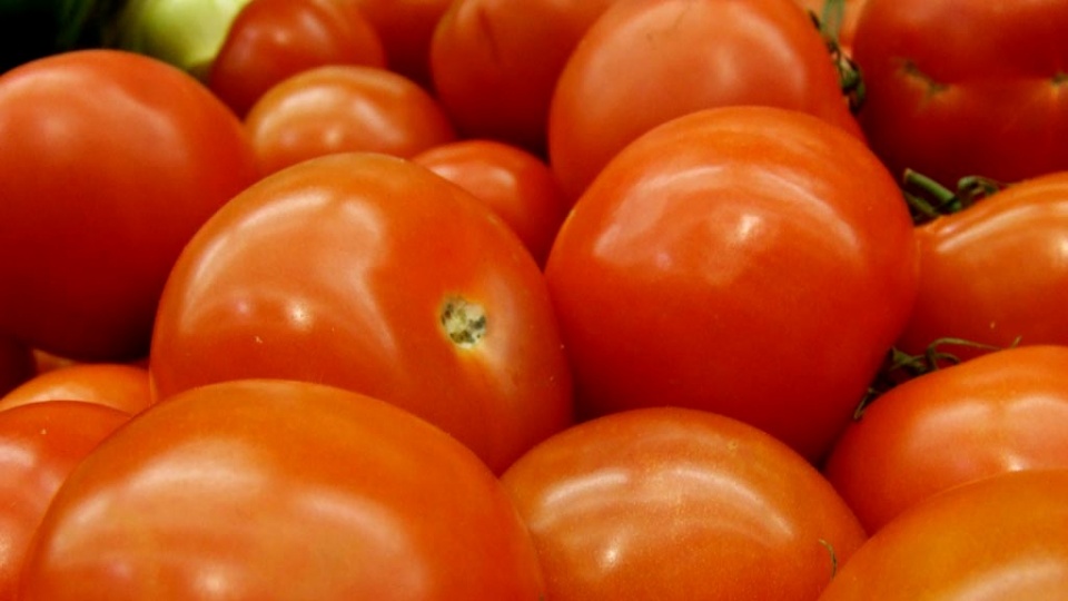 Niedziela w pomidorach, smacznie i wesoło - tylko w Jeziorach Wielkich. Fot. freeimages.com