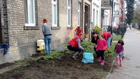 Społecznościowe ogródki powstają w Toruniu
