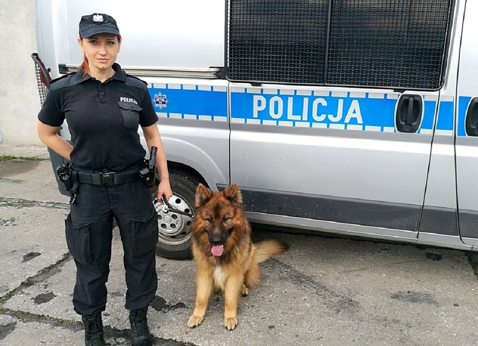 Policyjny pies Borys wraz z przewodniczką st. sierż. Justyną Polak. Fot. KMP we Włocławku