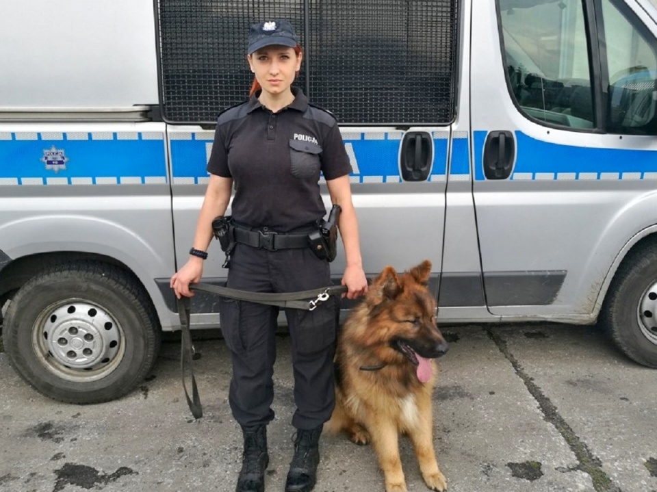 Policyjny pies Borys wraz z przewodniczką st. sierż. Justyną Polak. Fot. KMP we Włocławku