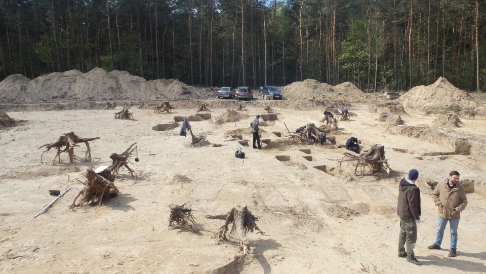 Zapomniany cmentarz ukazał się, gdy pod budowę wycięto las koło Rogowa w powiecie żnińskim. Fot. Michał Wiśniewski