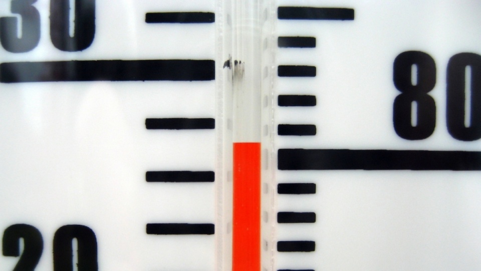 29 czerwca wskazania termometrów sięgnąć mogą nawet 30 kresek. Fot. freeimages.com