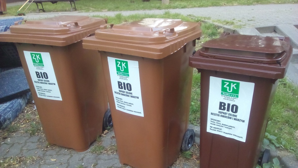 Do pojemników na odpady roślinne wrzucają również worki i reklamówki. Fot. Marcin Doliński