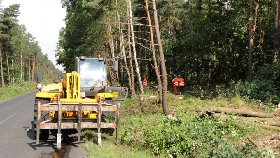 Wzdłuż przeznaczonego do remontu odcinka drogi obecnie trwa wycinka drzew. Fot. Sławomir Kukiełczyński
