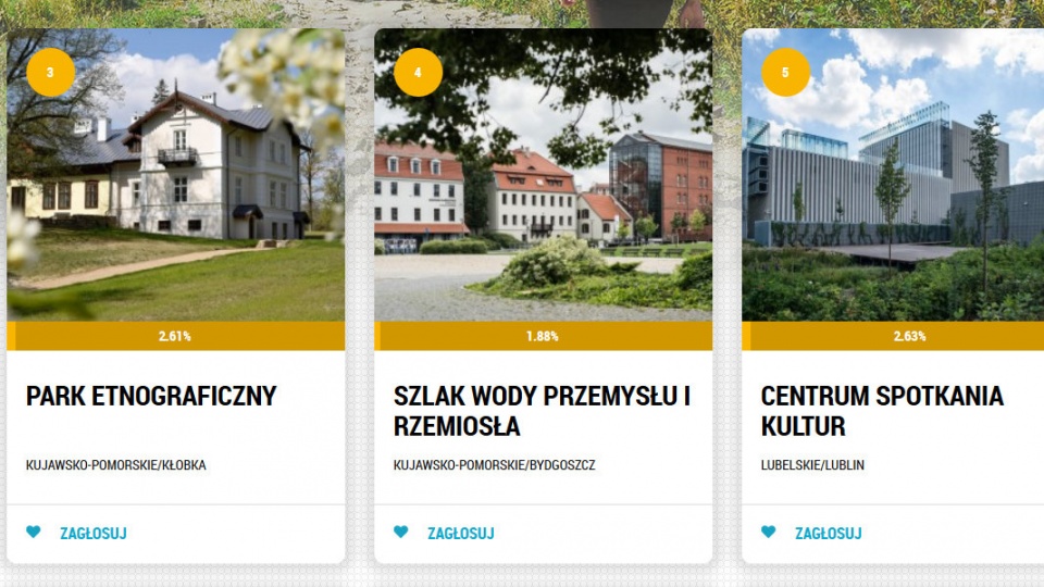 Głosować można do końca sierpnia na stronie 7cudow.national-geographic.pl.Fot. Zrzut ekranu