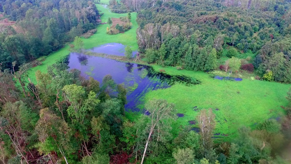 Zdjęcie z terenów zalewanych przez rzekę Krówkę, wykonane z pokładu drona. Fot. Aviation Technik, sp. z o. o.
