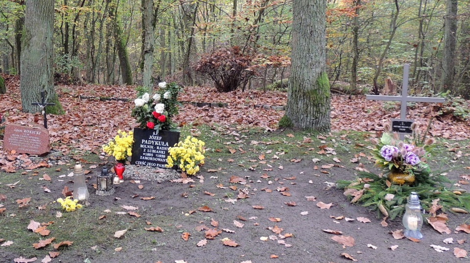 Jesienią 1939 r. w lesie na toruńskiej Barbarce z rąk Niemców życie straciło od 600 do 1200 osób. Fot. Michał Zaręba