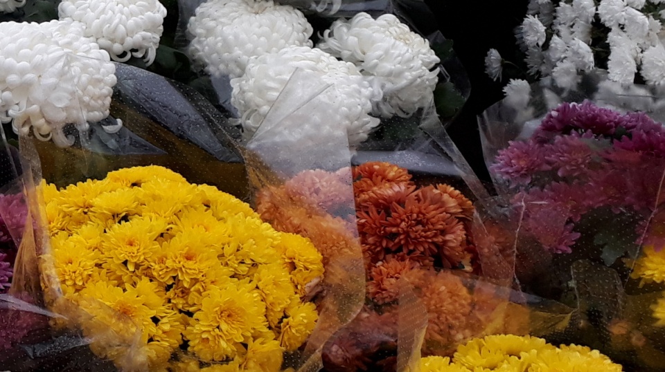 1 listopada to dzień, w którym na grobach bliskich składamy kwiaty i zapalamu znicze. Fot. Kamila Zroślak