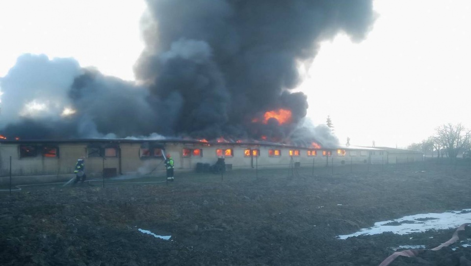 Ogień gasiło kilkudziesięciu strażaków. Fot. Nadesłane