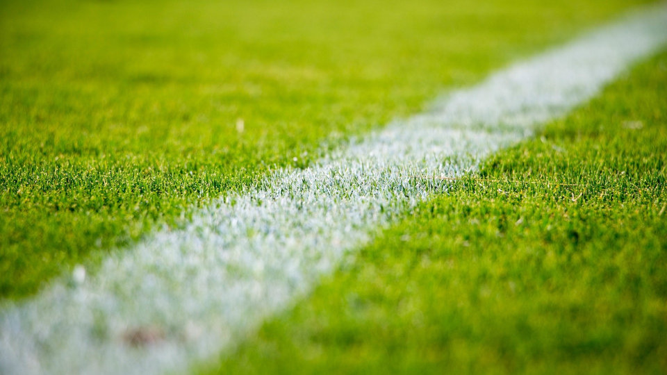 Murawa piłkarska. Fot. pixabay.com